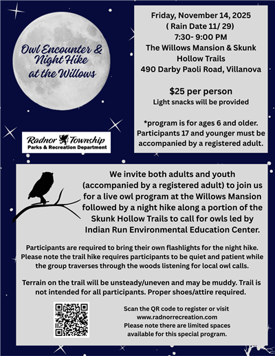 Owl Encounter