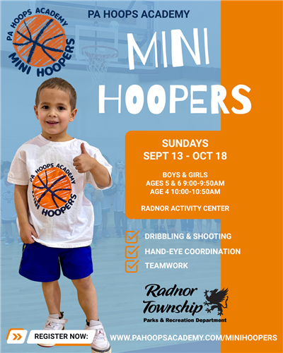 Mini Hoopers