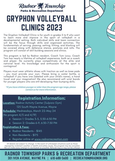 volleyball volleyball