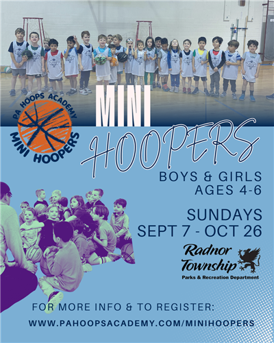 Mini Hoopers